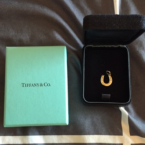 Tiffany & Co. Jewelry - TIFFANY & CO.  18k gold horseshoe charm