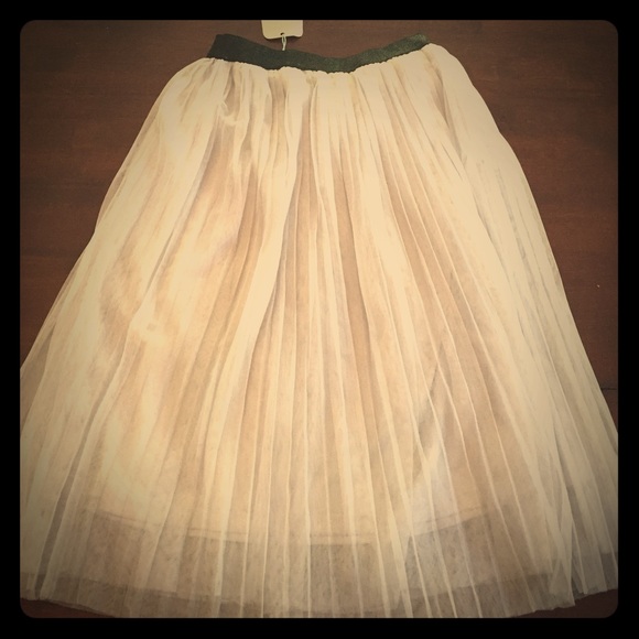 EVERLY tule skirt NWT