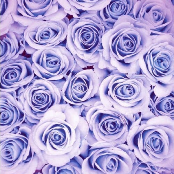 Meet your Posher, Amber - Picture 1 of 1