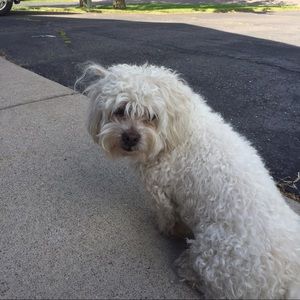 Meet your Posher, Annika