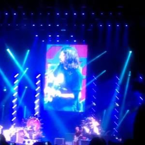 Meet your Posher, Rachael