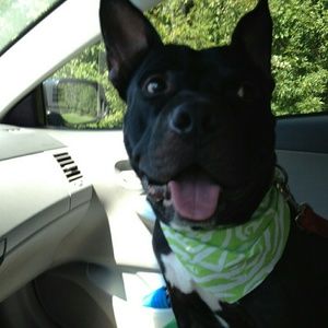 Meet your Posher, Hailey