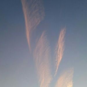 Meet your Posher, Meghan