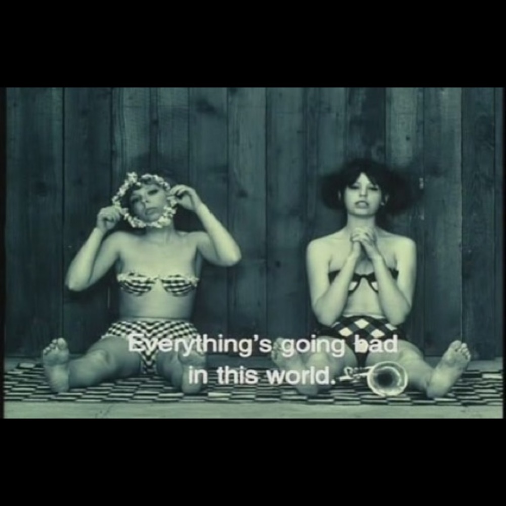 Meet your Posher, Sally