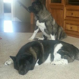 Meet your Posher, Tiffany