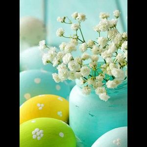 Meet your Posher, Ana