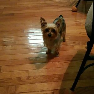 Meet your Posher, Ji