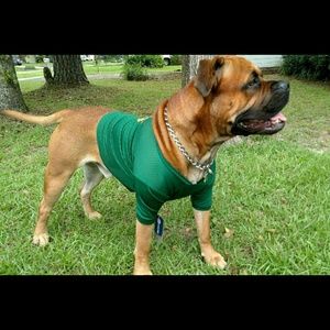 Meet your Posher, Dale