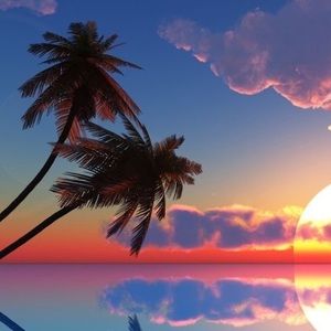 Meet your Posher, Ebonie