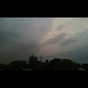 Meet your Posher, Dorothy