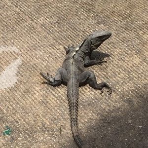 Meet your Posher, Krista