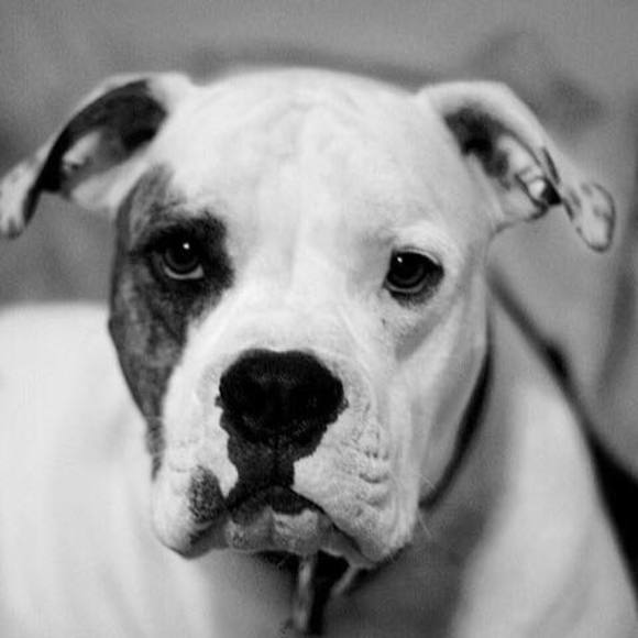 Meet your Posher, Lindsey - Picture 1 of 1