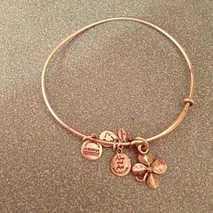 Alex and Ani good luck bangle