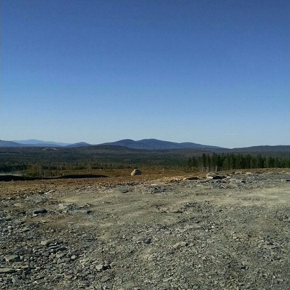 Meet your Posher, Whitney - Picture 1 of 1