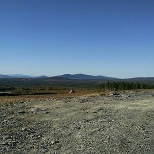 Meet your Posher, Whitney