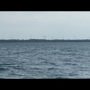 Meet your Posher, Marcilynn