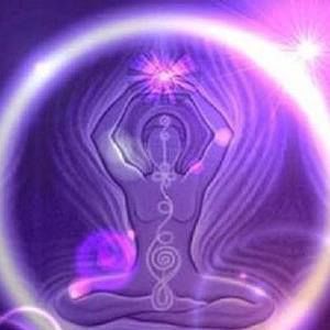 Meet your Posher, Luis