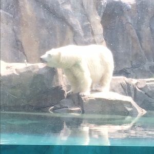 Meet your Posher, Nayeli