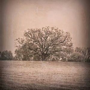 Meet your Posher, Alana