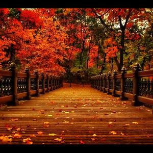 Meet your Posher, Kristi