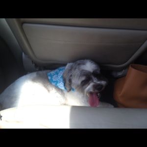 Meet your Posher, Charlotte