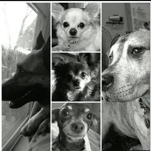 Meet your Posher, Michelle