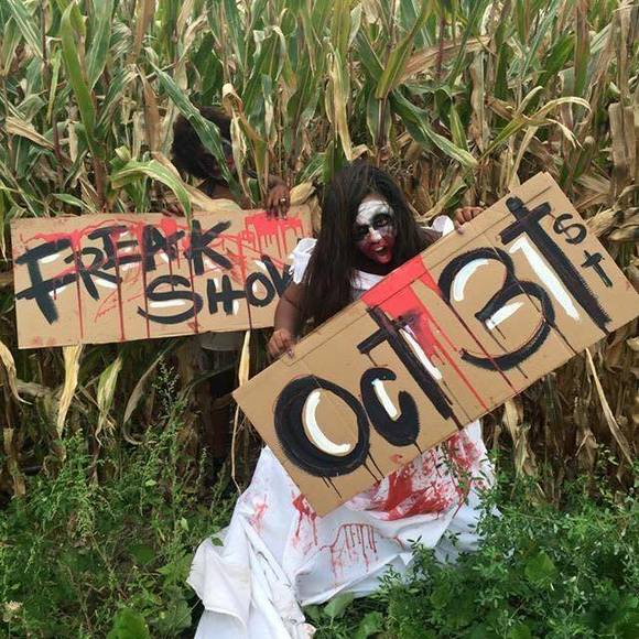 Meet your Posher, Tiara - Picture 1 of 1