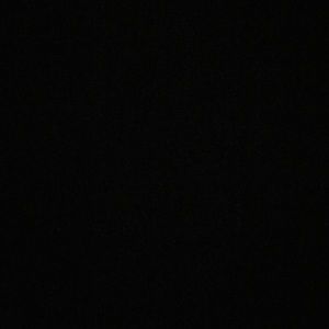 Meet your Posher, Joy