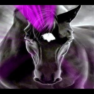 Meet your Posher, Saundra