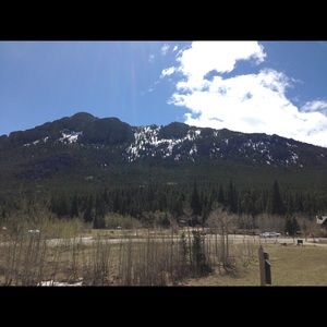 Meet your Posher, Ella