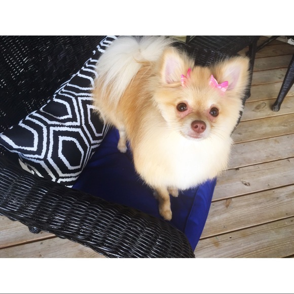 Meet your Posher, Kate - Picture 4 of 4