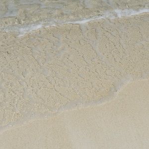 Meet your Posher, Colette