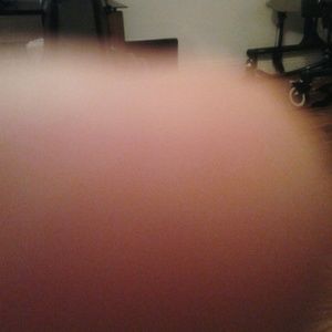 Meet your Posher, Lily