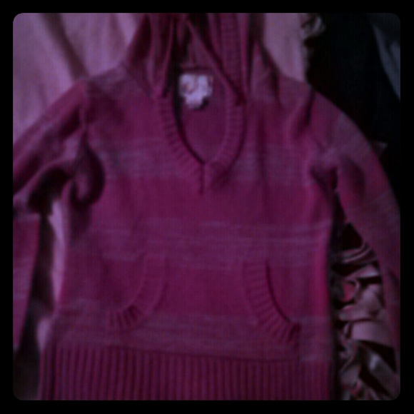 Pinkish Purple fitted sweater