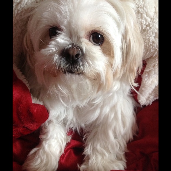 Meet your Posher, Heejeong - Picture 1 of 1