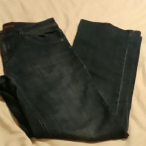 The Limited Jeans 12