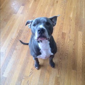 Meet your Posher, Elizabeth