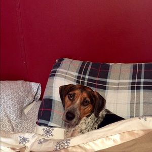 Meet your Posher, Rachael