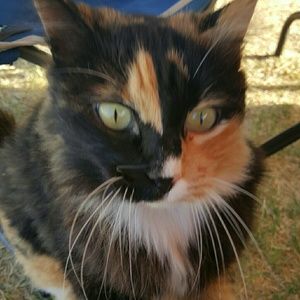 Meet your Posher, Isabelle