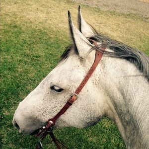 Meet your Posher, Ruby