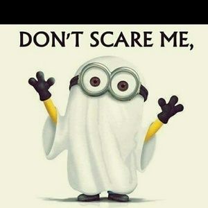 Meet your Posher, Toni