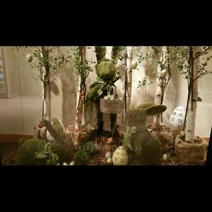 Meet your Posher, Tammy