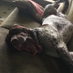 Meet your Posher, Colleen