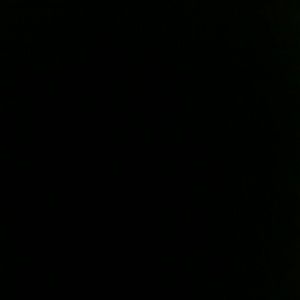 Meet your Posher, Teri