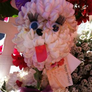 Meet your Posher, Vidette