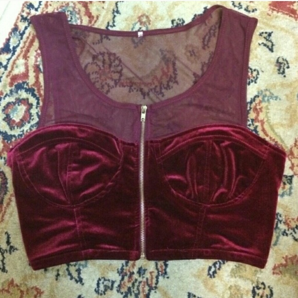 Burgundy Velvet Mesh Crop Top - Picture 1 of 5