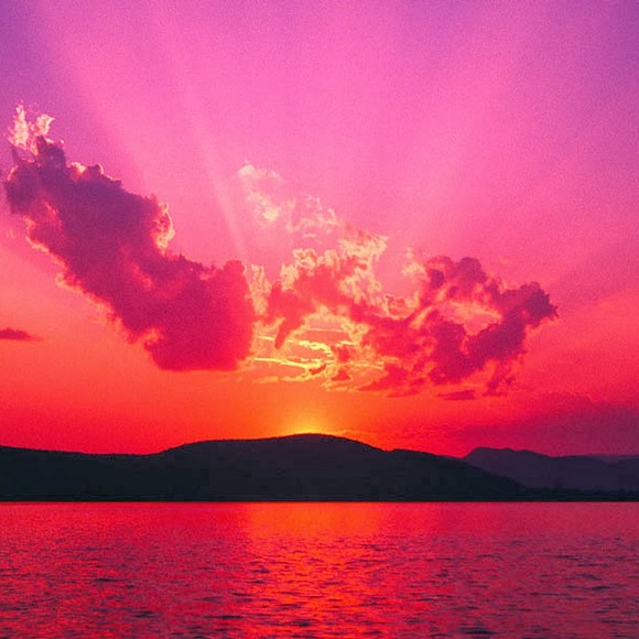 Meet your Posher, Paige - Picture 1 of 1