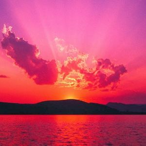 Meet your Posher, Paige