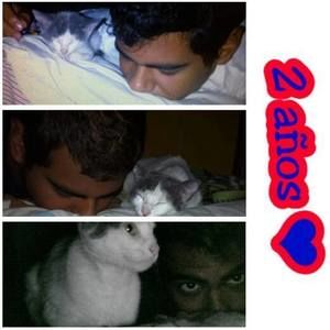 Meet your Posher, Kevin