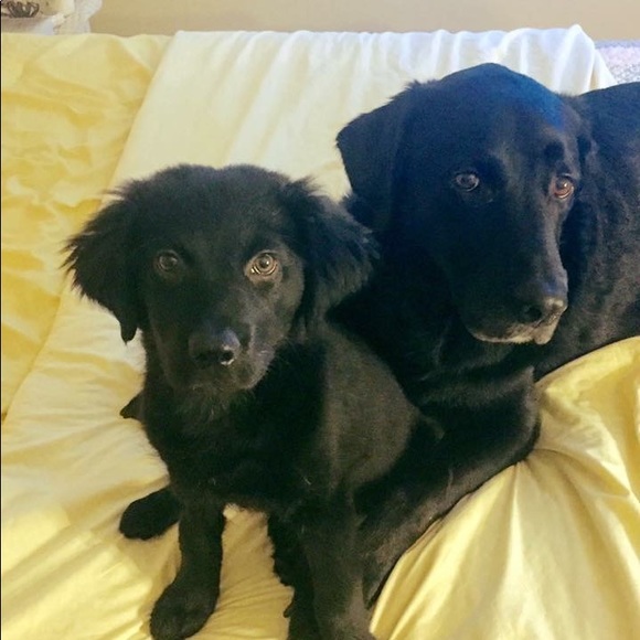 Meet your Posher, Kimberly - Picture 3 of 3